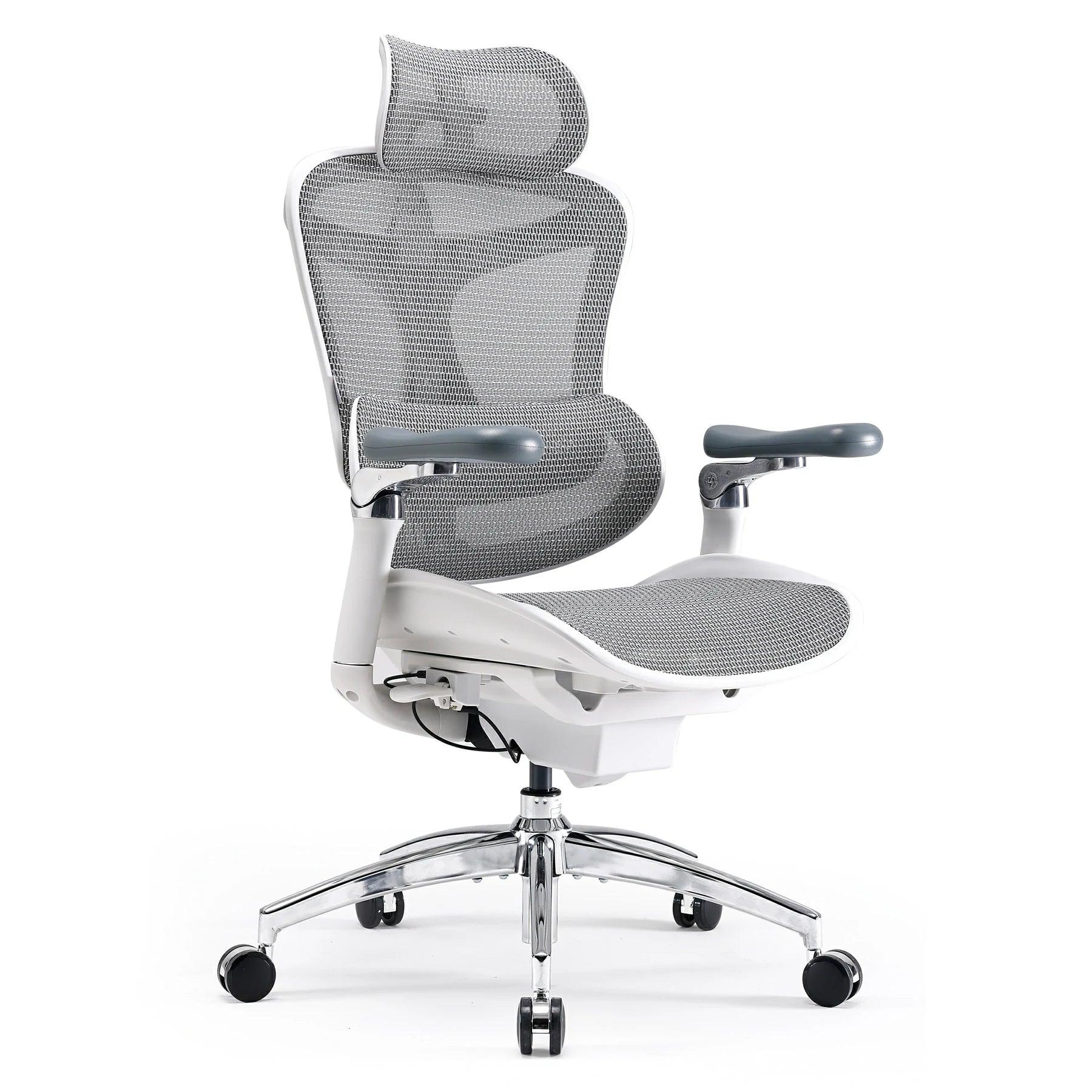 SIHOO Doro-C300 Ergonomic Office Chair-4 Positions Adjustable
