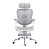 Sihoo Doro C300 Pro V2 Ergonomic Office Chair