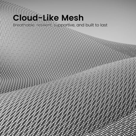 Sihoo Doro C300 Pro V2 Ergonomic Office Chair