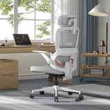 Sihoo B100 Ergonomic Office Chair With Flip-Up Armrest