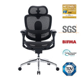 Sihoo Doro C300 Pro V2 Ergonomic Office Chair