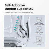 Sihoo Doro C300 Pro V2 Ergonomic Office Chair