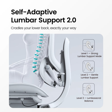 Sihoo Doro C300 Pro V2 Ergonomic Office Chair