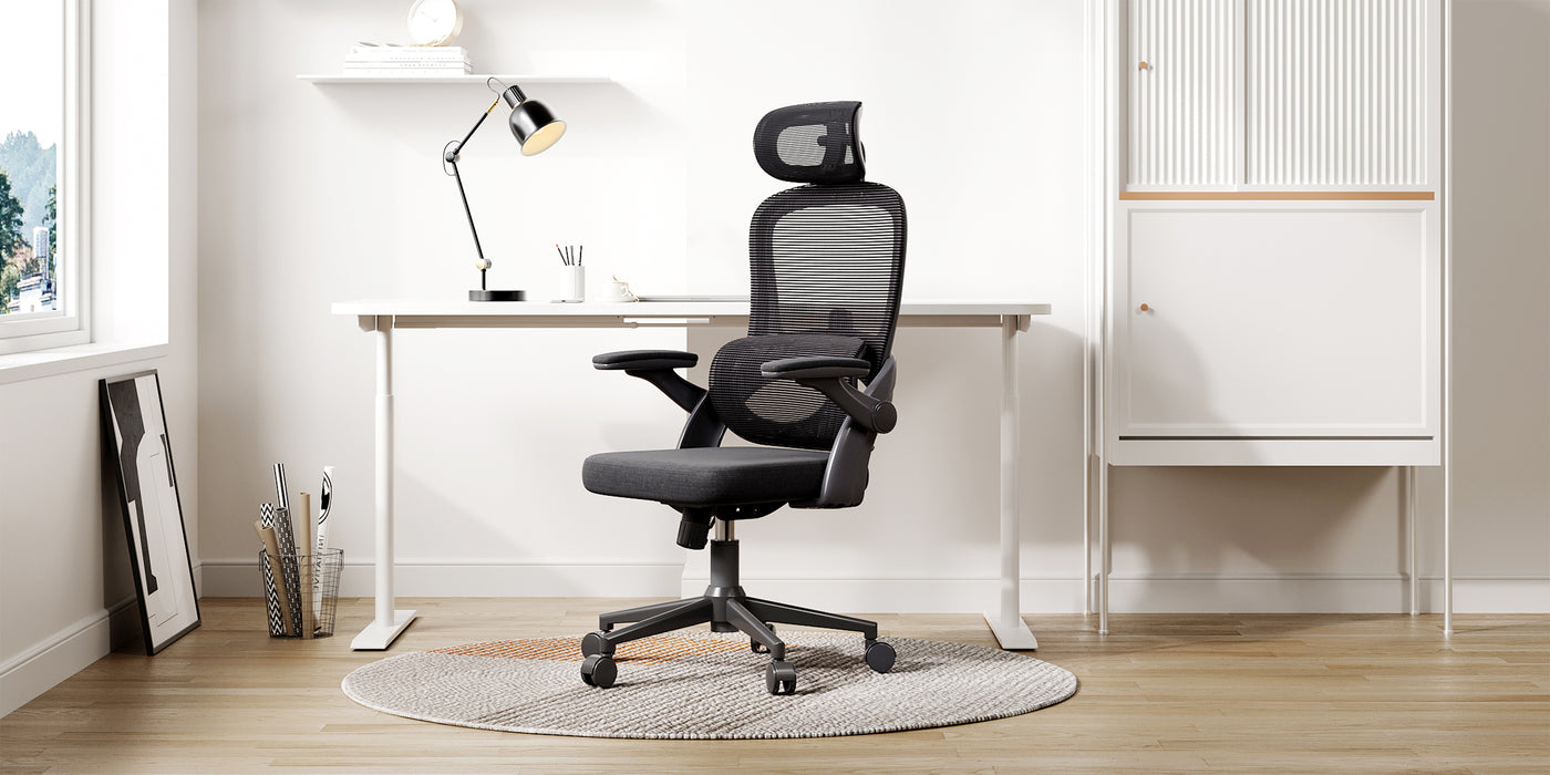 Sihoo M102C Ergonomic Office Chair with Customizable Lumbar Support