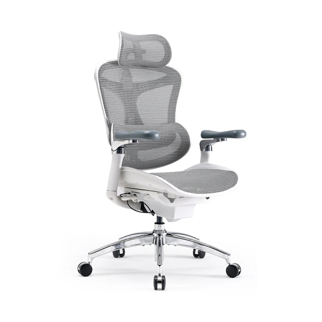 Doro C300 Pro Ergonomic Chair with Seat-depth Adjustment