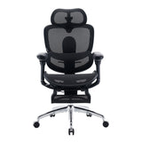 Sihoo Doro C300 Pro V2 Ergonomic Office Chair