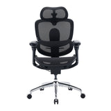 Sihoo Doro C300 Pro V2 Ergonomic Office Chair