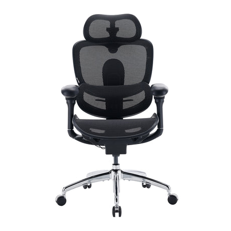 Sihoo Doro C300 Pro V2 Ergonomic Office Chair