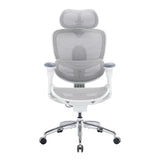 Sihoo Doro C300 Pro V2 Ergonomic Office Chair