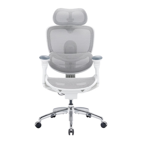 Sihoo Doro C300 Pro V2 Ergonomic Office Chair