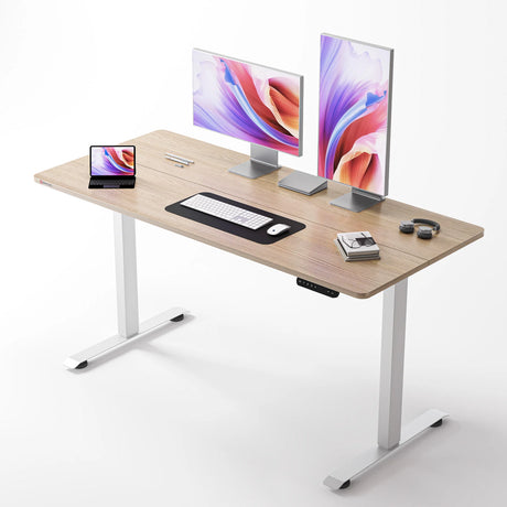 Sihoo D03 Electric Height Adjustable Standing Desk