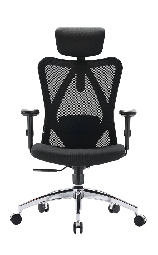 Sihoo online m18 chair