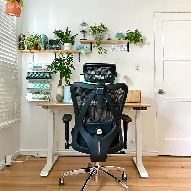 Sihoo M57 Ergonomic Office Chair with Breathable Mesh Cushion