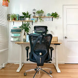 Sihoo M57 Ergonomic Office Chair with Breathable Mesh Cushion