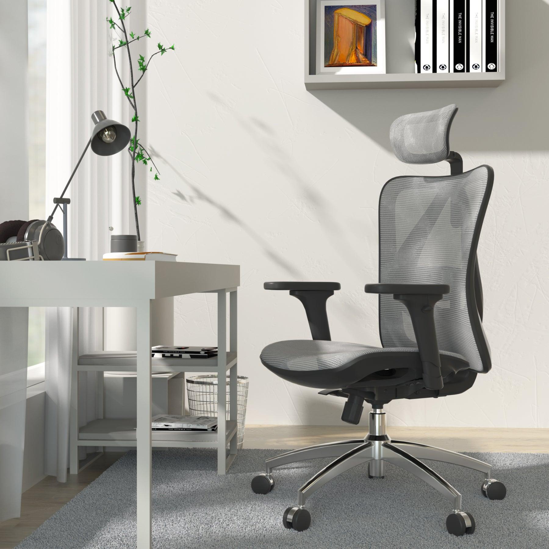 Sihoo M57 Full Mesh Breathable Office Chair for Sedentary Lifestyle