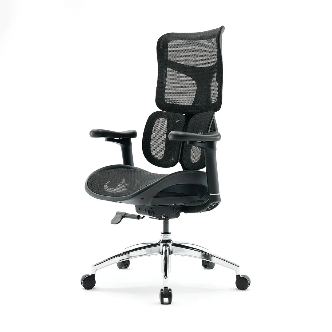 Sihoo S100 Dynamic Ergonomic Office Chair with Lumbar Support