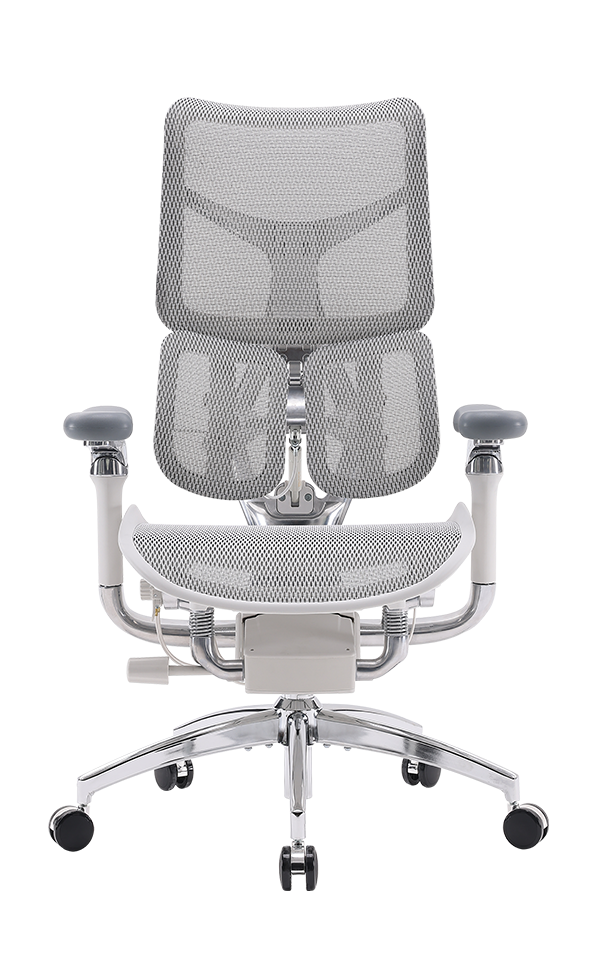 Ergohuman luxury platinum mesh deals