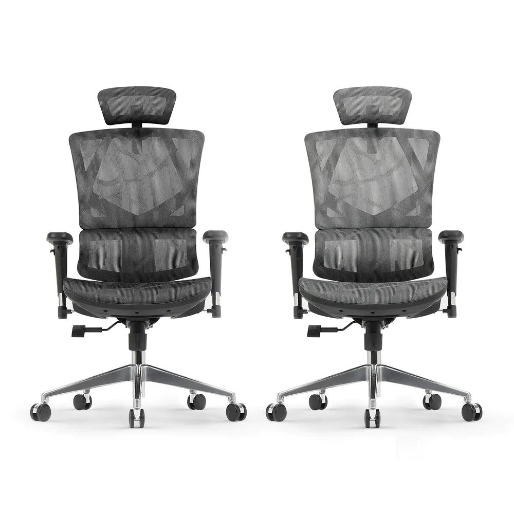 Sihoo M90C Ergonomic Office Chair with Adjustable Lumbar Support Grey