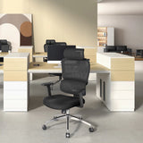M56C Ergonomic Office Chair with Ultra-Wide Dual-Section Backrest