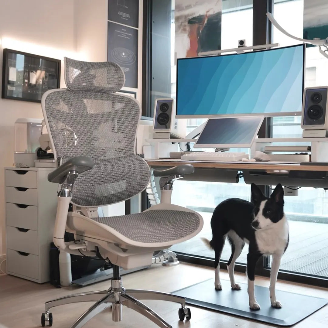 SIHOO Doro C300 Pro オフィスチェア Sihoo Doro C300 Pro Ergonomic Office Chair, Adjustable Lumbar