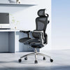 Sihoo Doro C300 Ergonomic Office Chair - Official US Sihoo Store