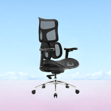 Doro S100 Ergonomic Office Chair with Dual Dynamic Lumbar Support