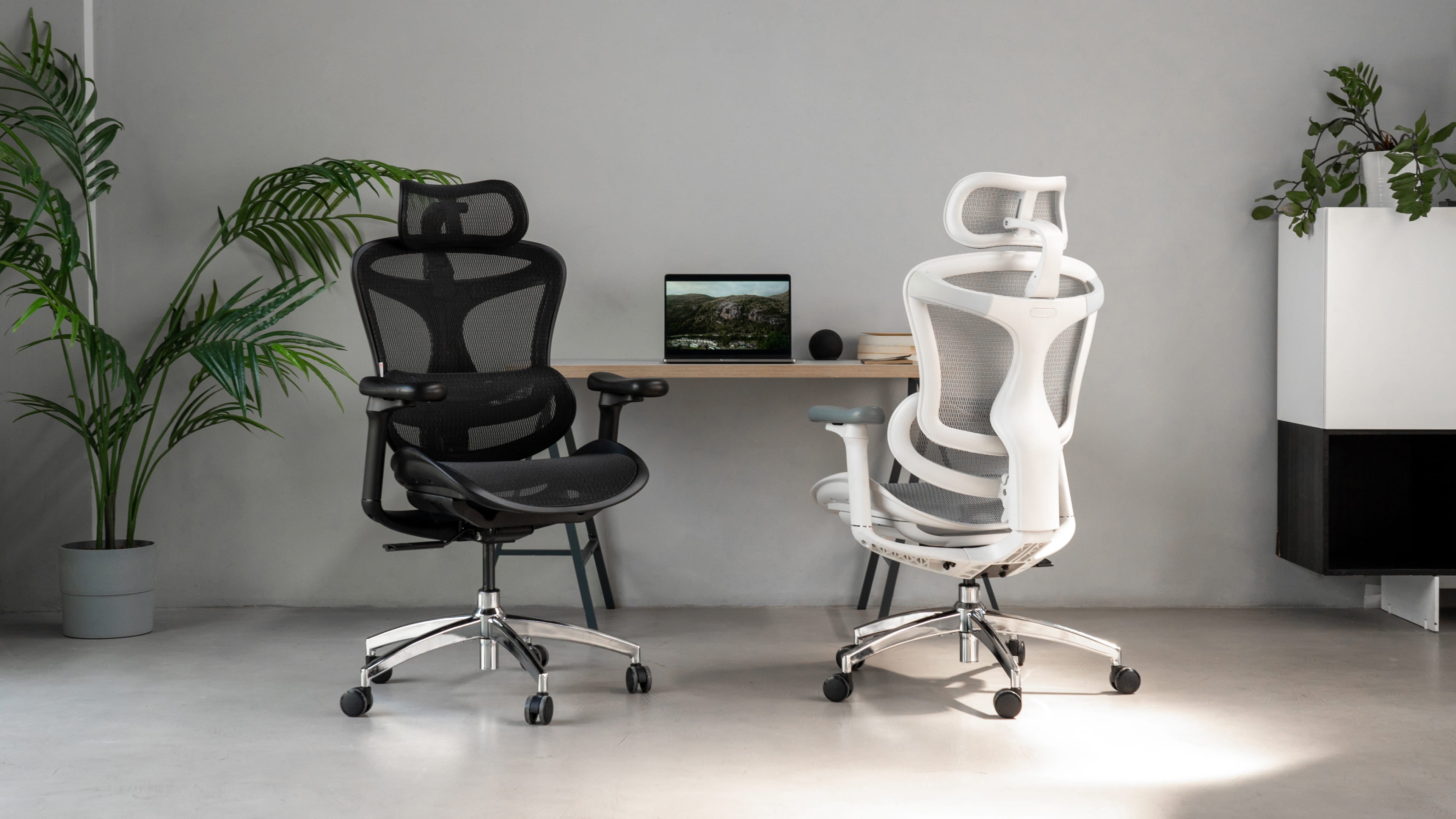 The Best Ergonomic Chairs of Work to Buy at SIHOO