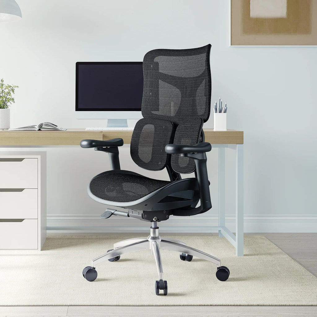 Sihoo Doro S100 Ergonomic Office Chair with Dual Dynamic Lumbar Support - Official US Sihoo Store